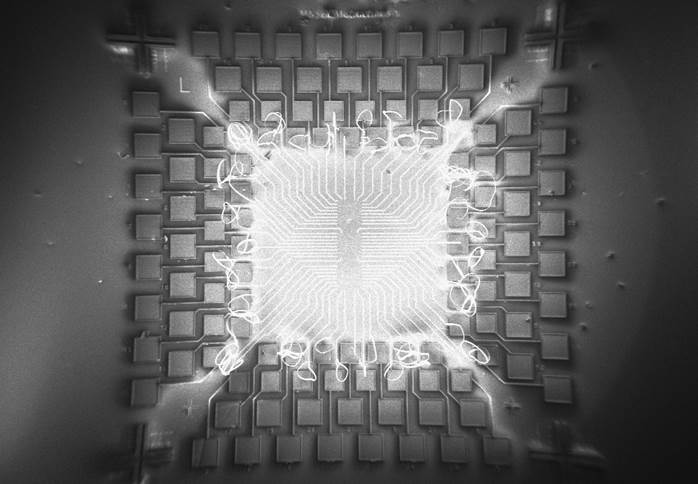 https://upload.wikimedia.org/wikipedia/commons/6/61/Microchip_for_Carbon_Nanotube_Field_Effect_Transistors_fabrication.jpg