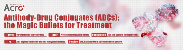 Antibody-Drug Conjugates (ADCs): the Magic Bullets for Treatment