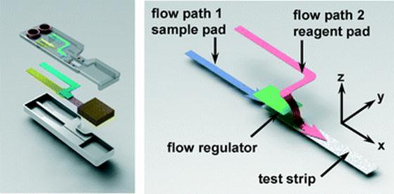 Graphical abstract: A stacking flow immunoassay for the detection of dengue-specific immunoglobulins in salivary fluid